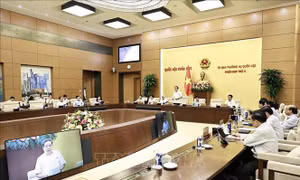 Đẩy nhanh tiến độ hoàn thiện thể chế, tháo gỡ các 'điểm nghẽn'