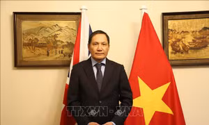 Đẩy mạnh toàn diện quan hệ hợp tác Việt Nam - Anh lên tầm cao mới