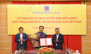 PVN bổ nhiệm thêm Phó Tổng giám đốc mới