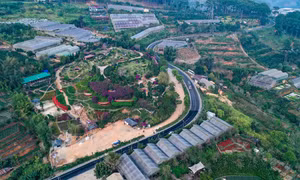 Liên tục xảy ra tai nạn giao thông trên đèo Mimosa, Đà Lạt