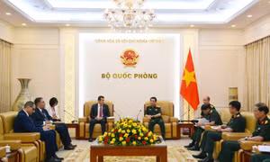 Phó Thủ tướng, Bộ trưởng Bộ Quốc phòng Phan Văn Giang tiếp Đại sứ Thụy Điển và Đại sứ Algeria