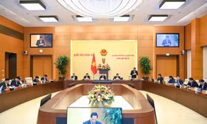 Cử tri lo lắng về tình hình ô nhiễm không khí tại các thành phố lớn