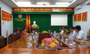 Xử phạt nữ giáo viên vu khống, xúc phạm người khác