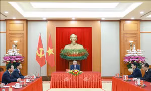 Tổng thống Liên bang Nga Vladimir Putin điện đàm với Tổng Bí thư Tô Lâm