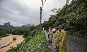 Nước sông Bùi tại Phú Thọ dâng cao trên báo động II
