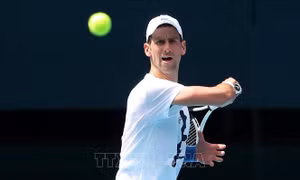 Novak Djokovic có thể bị cấm nhập cảnh vào Mỹ