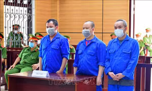 Tử hình 3 đối tượng vận chuyển gần 5 kg ma túy