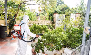 Quảng Trị ghi nhận 229 ca mắc sốt xuất huyết