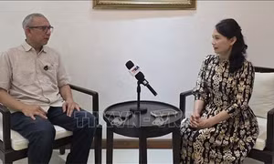 Chuyên gia Indonesia: Việt Nam có thể dẫn dắt một số lĩnh vực hợp tác mới của ASEAN