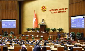 Kỳ họp thứ 8, Quốc hội khóa XV: Quốc hội thông qua Luật Điện lực