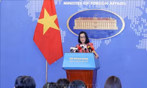 Việt Nam đề nghị gỡ bỏ thông tin sai sự thật trong phim tài liệu về MH370
