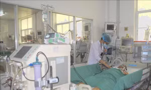 Suýt mất mạng vì điều trị vết thương do cua cắp bằng thuốc Nam