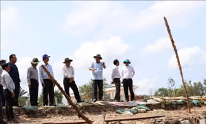 Phó Thủ tướng chỉ đạo khắc phục sự cố sụt lún đê biển Tây tại Cà Mau