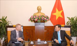  Phó Thủ tướng Phạm Bình Minh tiếp Đại sứ Anh Gareth Ward