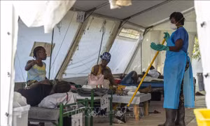 PAHO hỗ trợ Haiti vaccine ngừa bệnh tả