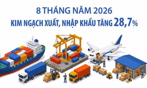 8 tháng năm 2026: Kim ngạch xuất, nhập khẩu tăng 28,7% 