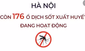 Hà Nội còn 176 ổ dịch sốt xuất huyết đang hoạt động