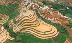 Vẻ đẹp ruộng bậc thang Mù Cang Chải mùa nước đổ