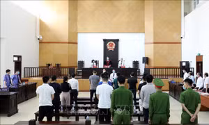 Xét xử vụ Công ty Nhật Cường: Phó Tổng Giám đốc Trần Ngọc Ánh lĩnh án 13 năm tù