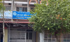 Nữ phó phòng Cà Mau đi du học xin nghỉ việc, cơ quan vẫn vận động về để báo cáo