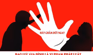 Quy trình tiếp nhận, xử lý tin báo, tố giác hành vi bạo lực gia đình