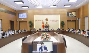 Phiên họp thứ 10 của UBTV Quốc hội: Rà soát, tránh bỏ sót hành vi bạo lực gia đình
