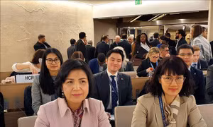 Việt Nam tham dự phiên khai mạc Khoá họp lần thứ 43 Hội đồng Nhân quyền LHQ