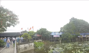 Hà Nội: Cưỡng chế giải tỏa vi phạm đất đai, trật tự xây dựng khu vực hồ Đầm Trị