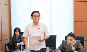 Bên lề Quốc hội: Bảo vệ doanh nghiệp bằng hậu kiểm minh bạch 