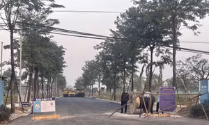 Giải mã dự án 'treo' - Bài 2: Biết sai vẫn khó xử lý
