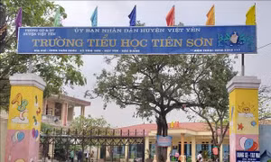 Điều chuyển thầy giáo bị tố sàm sỡ học sinh nữ làm nhân viên hành chính