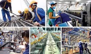 Tập trung xây dựng, ban hành tiêu chuẩn kỹ thuật đối với những ngành, nghề cắt giảm