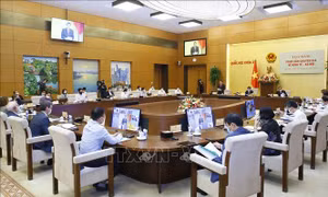 Quyết liệt thực hiện các gói hỗ trợ người dân, doanh nghiệp gặp khó khăn bởi COVID-19