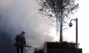 Singapore ghi nhận 3 trường hợp nhiễm virus Zika đầu tiên trong năm 2019