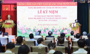 Xây dựng Đảng bộ Khối các cơ quan Trung ương trong sạch, vững mạnh và mẫu mực