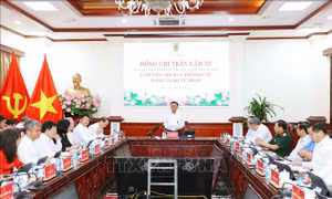Thường trực Ban Bí thư Trần Cẩm Tú làm việc với Ban Thường vụ Đảng ủy Bộ Tư pháp