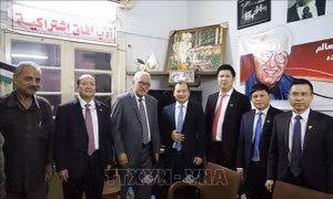 Đoàn công tác Ban Chỉ đạo Công tác Thông tin Đối ngoại thăm và làm việc tại Qatar, Ai Cập và Tanzania