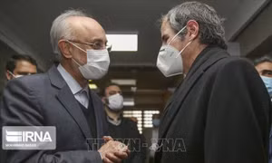 Iran: Chuyến thăm của Giám đốc IAEA đạt 'thành quả đáng kể'