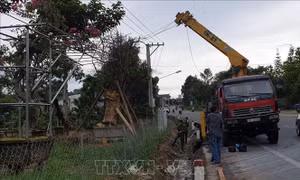 Xe cẩu cây xanh vướng dây điện, 2 người trong ca-bin bị bỏng nặng