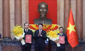 Chủ tịch nước Lương Cường trao quyết định bổ nhiệm Phó Chánh án TAND Tối cao