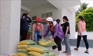 Xây dựng phương án hỗ trợ giáo viên Mầm non, Tiểu học ngoài công lập