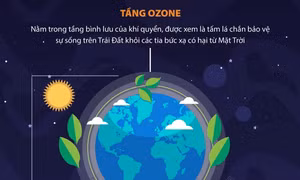 Việt Nam loại trừ nhiều chất làm suy giảm tầng ozone