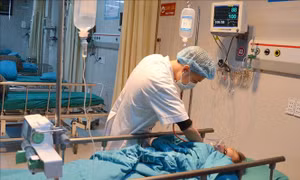 Cháu gái 14 tuổi nguy kịch, sốc phản vệ nặng do... kiến đốt