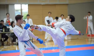 Sôi động Giải Karate người Việt tại Nhật Bản