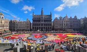 Thảm hoa Brussels 2024 - kiệt tác sống động giữa lòng châu Âu