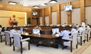 Năm 2021, tiếp tục giảm 20.076 biên chế do Chính phủ quản lý