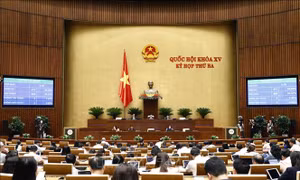 Danh sách tham gia 2 Đoàn giám sát chuyên đề của Quốc hội