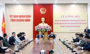 Thành lập Văn phòng Đoàn ĐBQH và HĐND tỉnh, Văn phòng UBND tỉnh Quảng Ninh