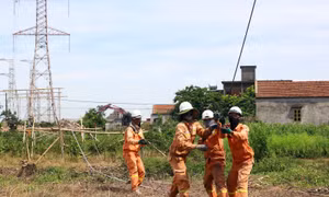 Đường dây 500 kV mạch 3 trên chặng đường 'về đích' - Bài 2: Vượt nắng - thắng tiến độ