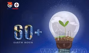 Giờ Trái đất 2021: Chung tay giảm bớt gánh nặng cho môi trường tự nhiên
